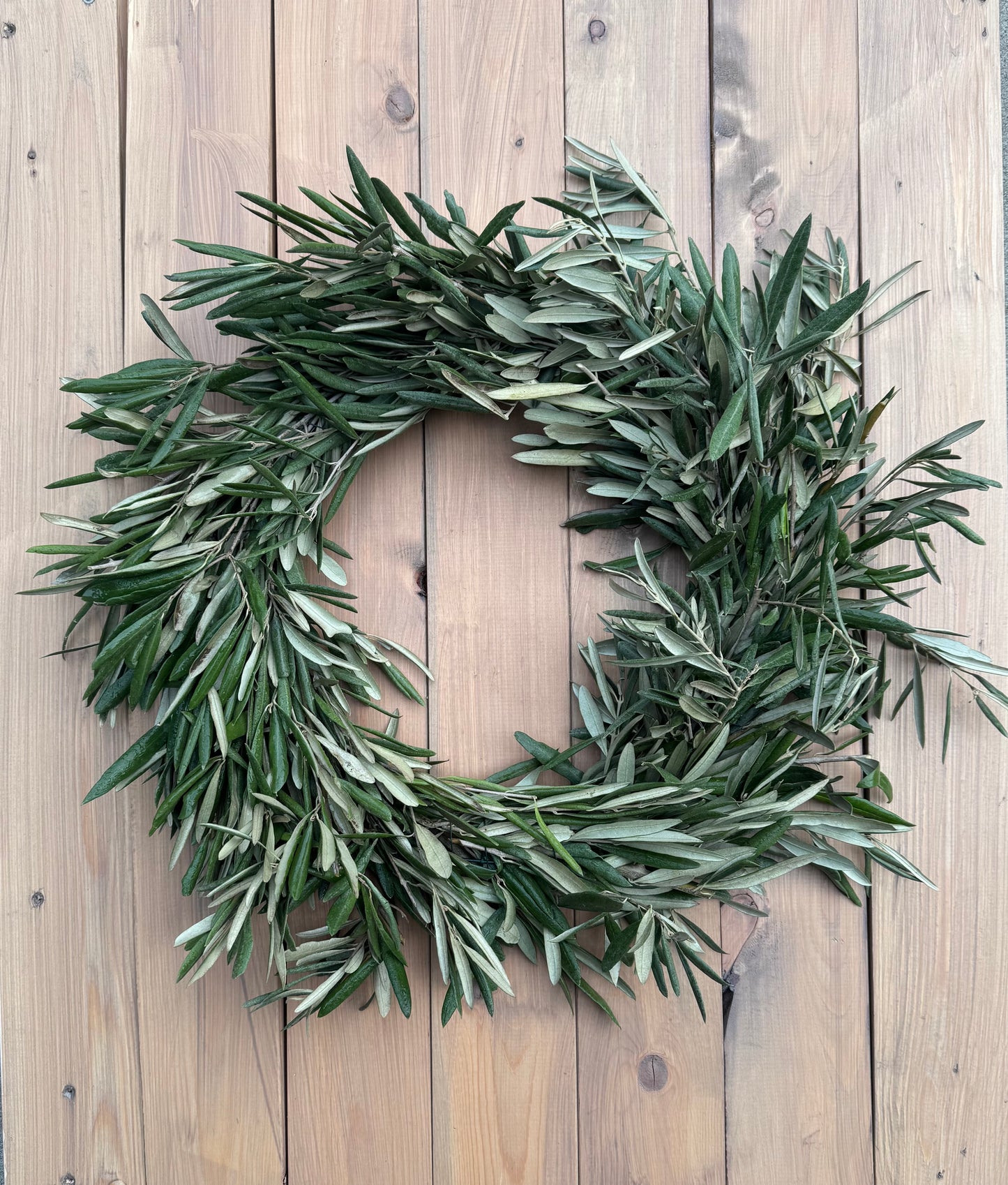 Fresh Olive Branch Wreath