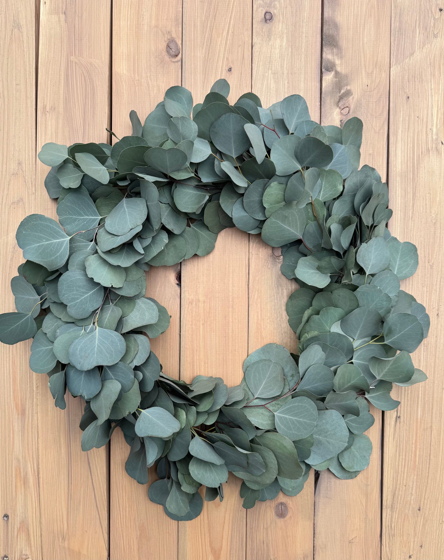 Fresh Eucalyptus Wreath - Silver Dollar