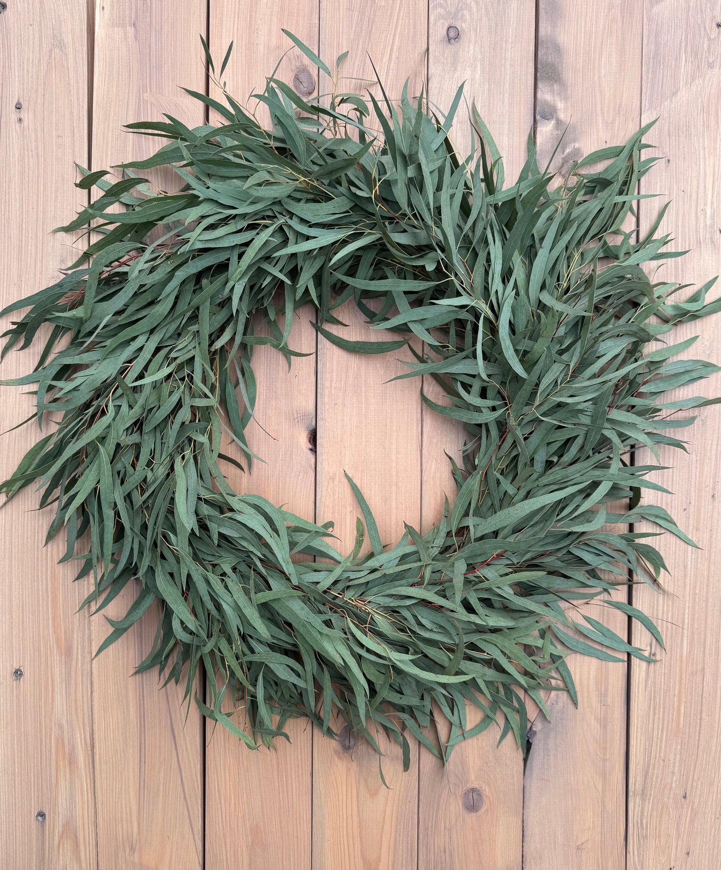 Fresh Eucalyptus Wreath - Feather