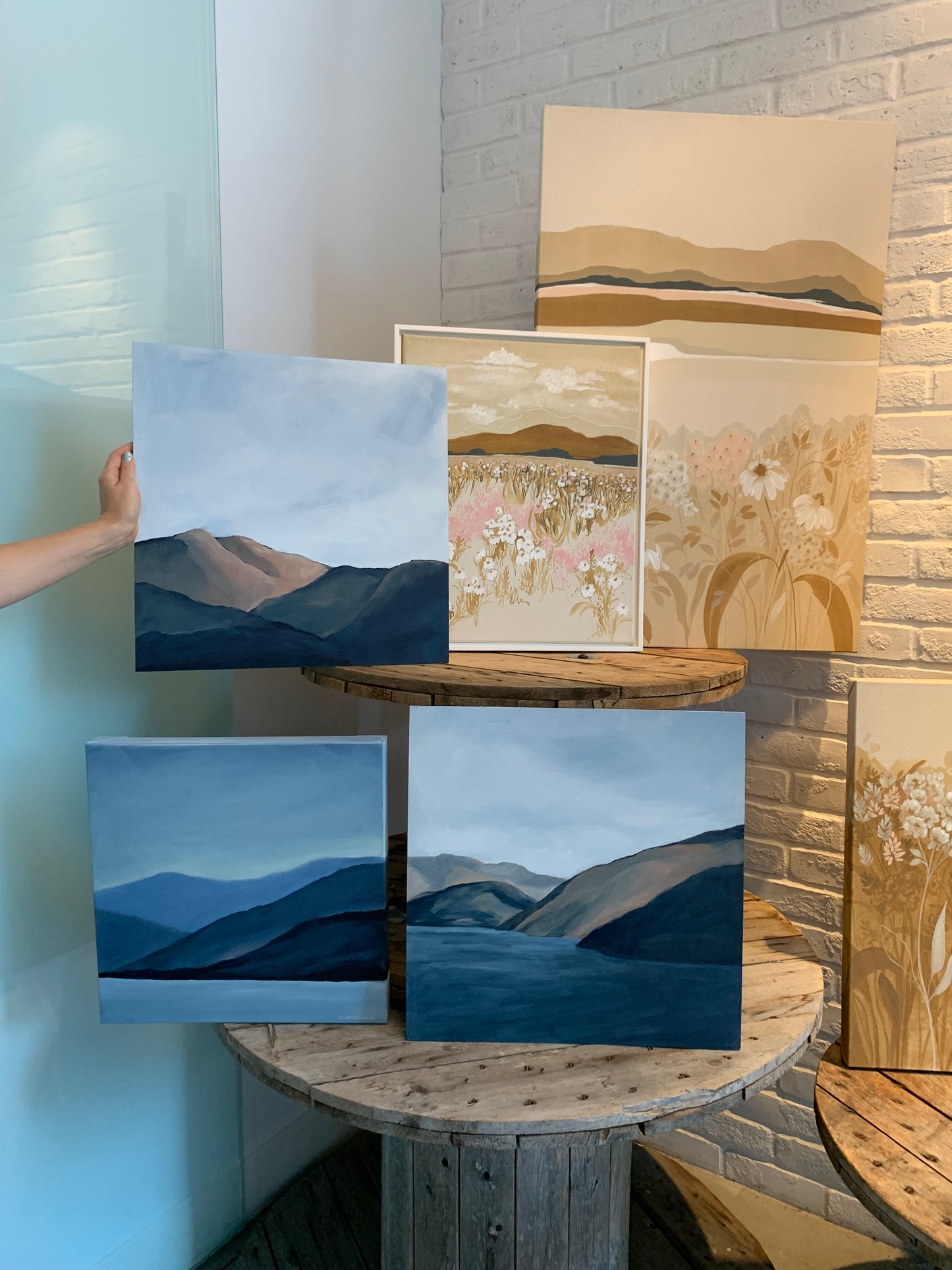 Okanagan Mountain Study #11