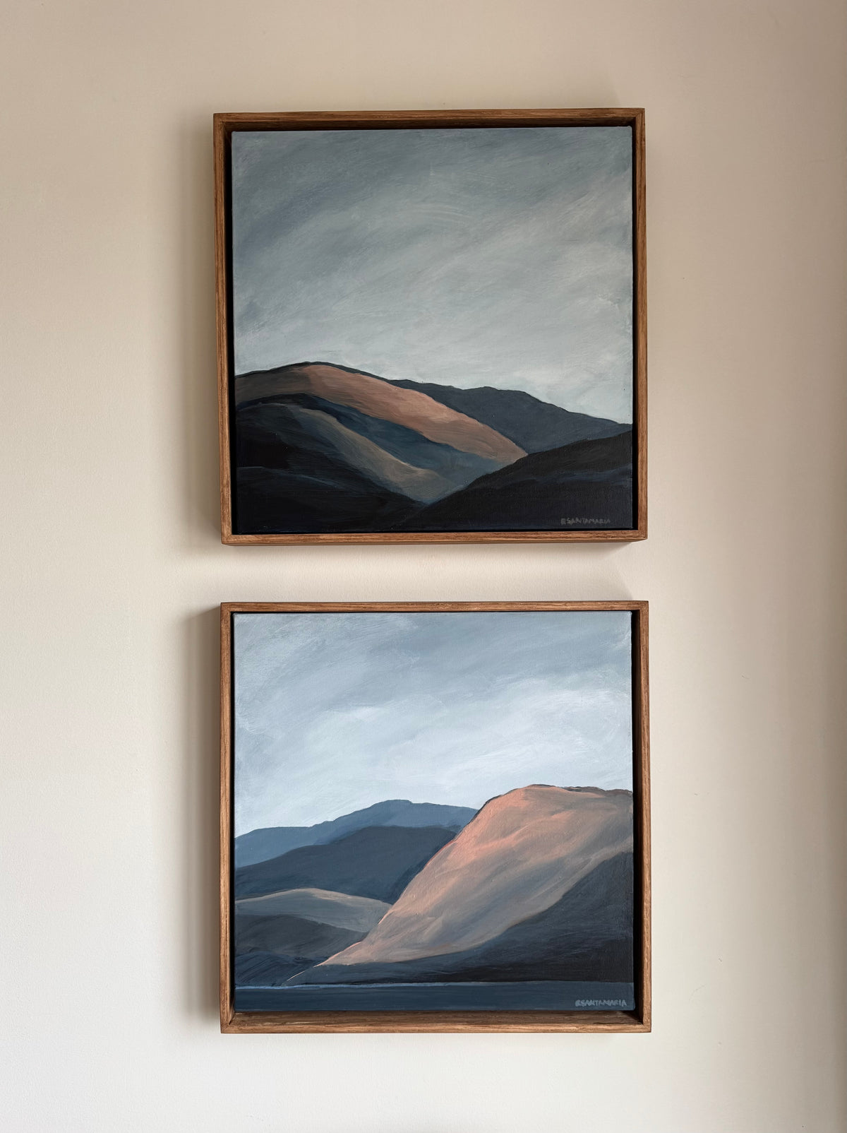 Okanagan Mountain Study #10