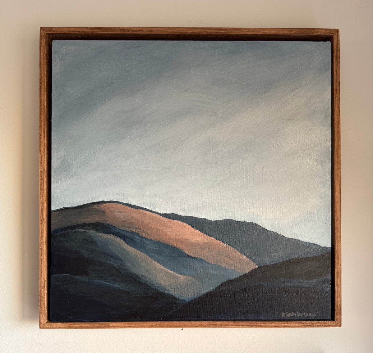 Okanagan Mountain Study #10