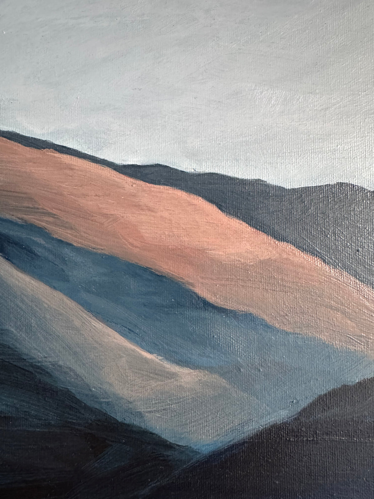 Okanagan Mountain Study #10