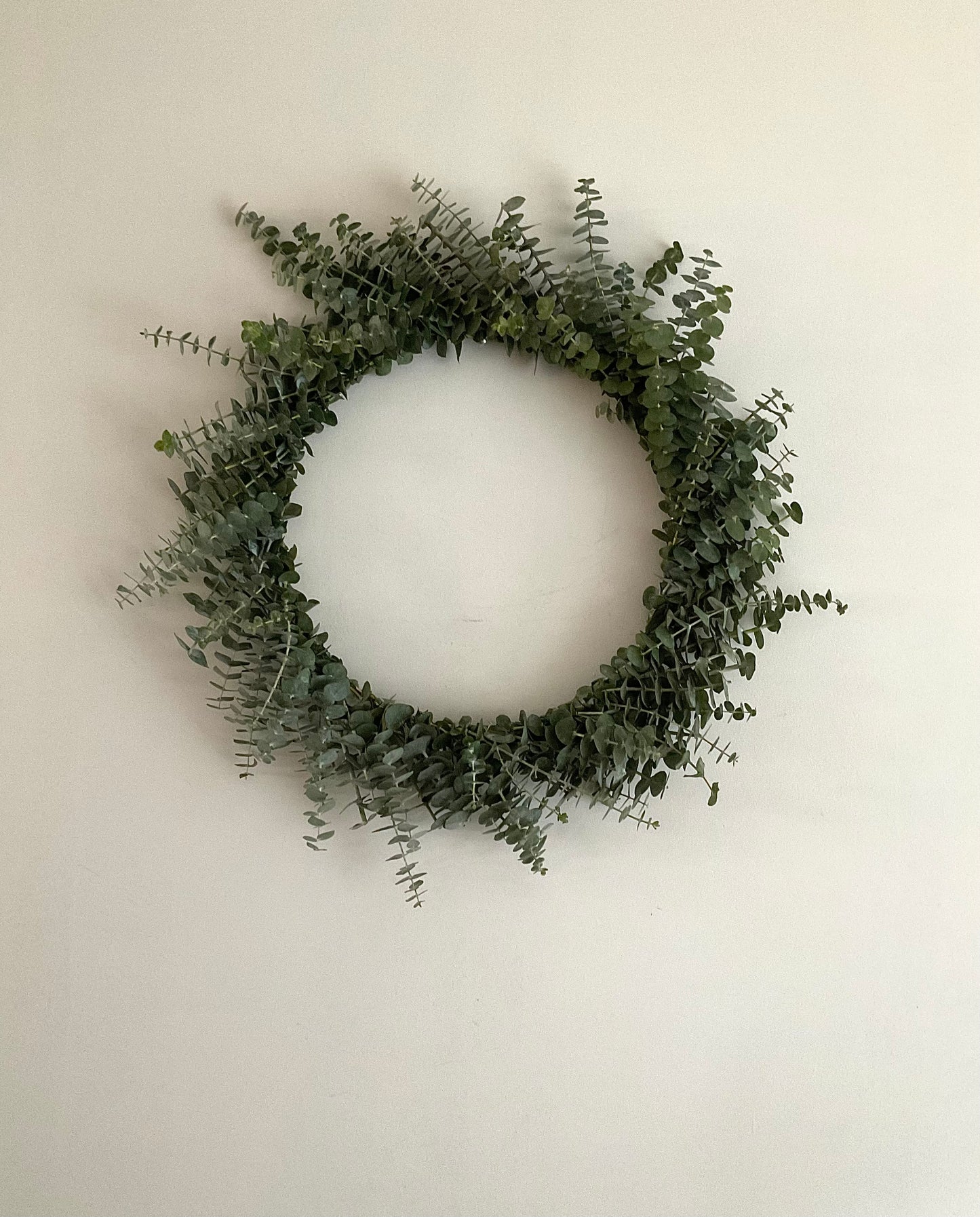 Fresh Eucalyptus Wreath - Baby Blue