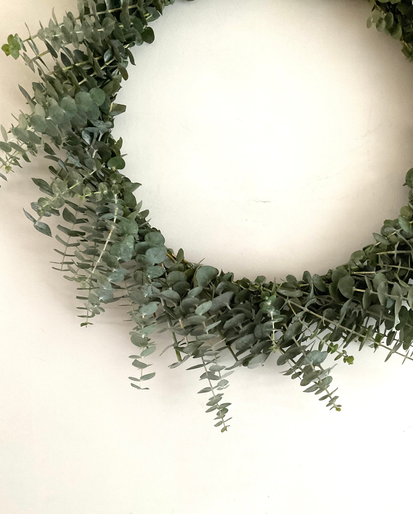 Fresh Eucalyptus Wreath - Baby Blue